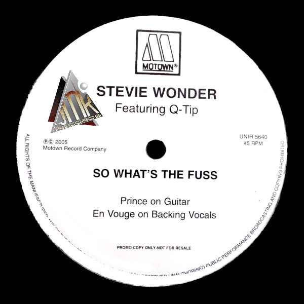 STEVIE WONDER & Q-Tip - SO WHATS THE FUSS