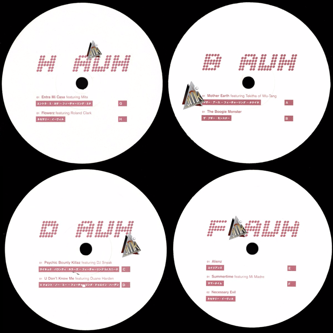 Armand Van Helden – 2Future4U – Image 3