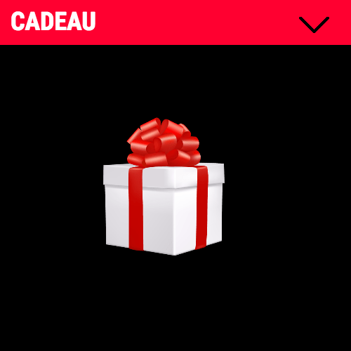 OFFRE CADEAU